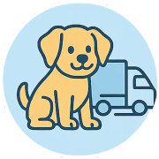 Free Shipping